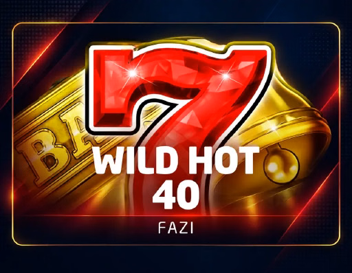 Official Wild Hot 40 game artwork
